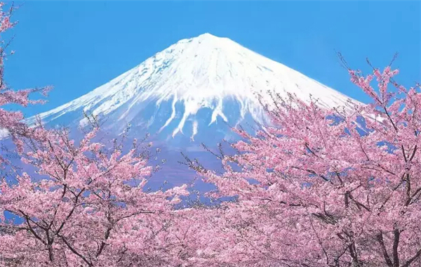 富士山