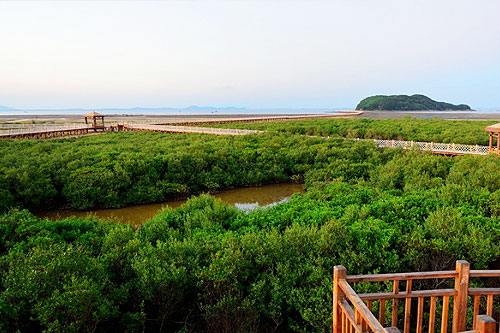 走遍海陵岛,阳江闸波纯玩唯美攻略